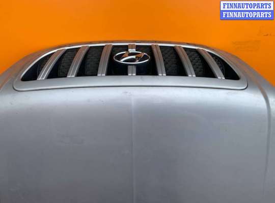 купить Капот на Hyundai Terracan