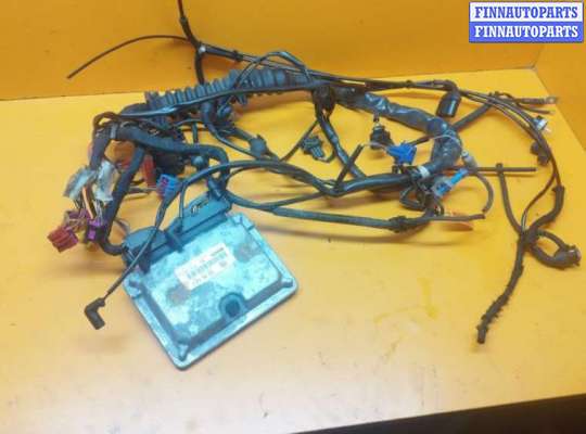 Проводка двигателя VG2401197 на Volkswagen Passat