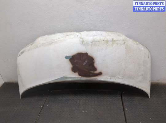 Купить Капот на Volkswagen Transporter 5 2003-2015 Капот VG2624809 на Volkswagen Transporter 5 2003-2015