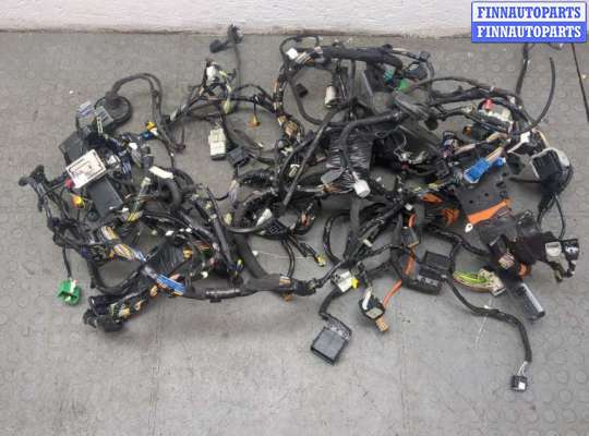 Проводка (коса) моторная