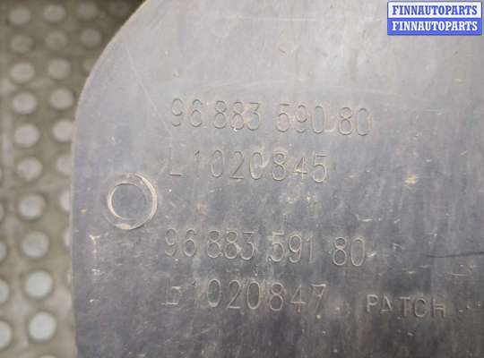 купить Защита арок (подкрылок) на Citroen DS4 2010-2018