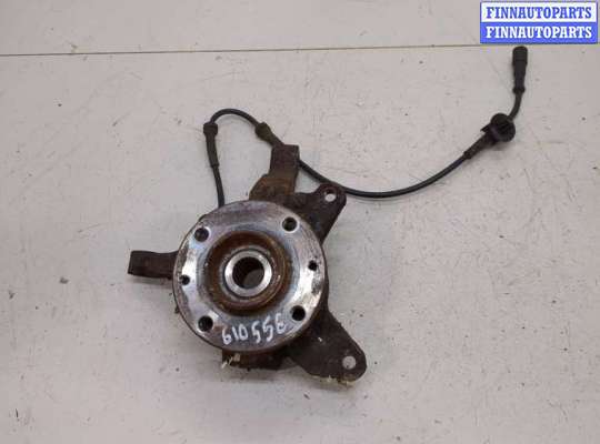 Ступица (кулак, цапфа) RN1460048 на Renault Scenic 1996-2002