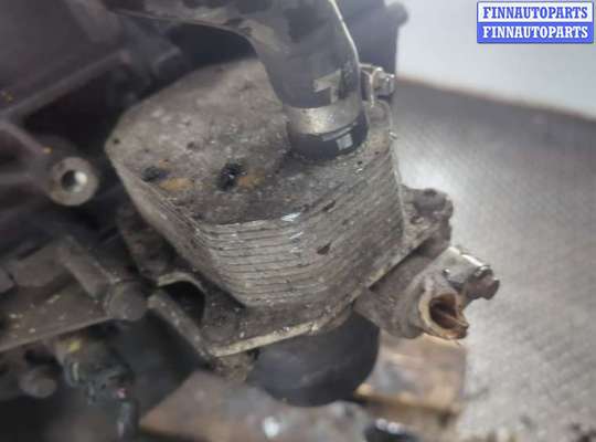 купить Блок цилиндров (Шорт блок) на Ford Transit 2006-2014