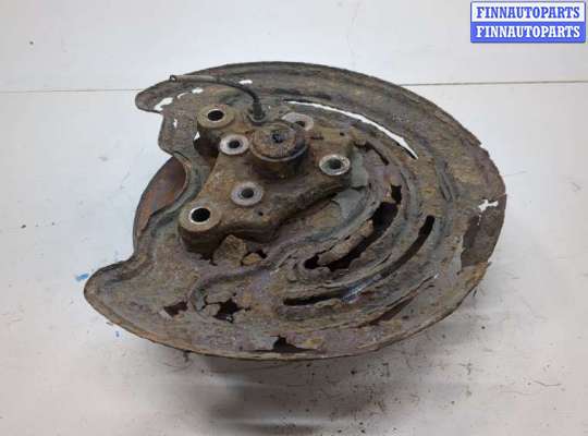 Ступица (кулак, цапфа) RN1572451 на Renault Trafic 2001-2014