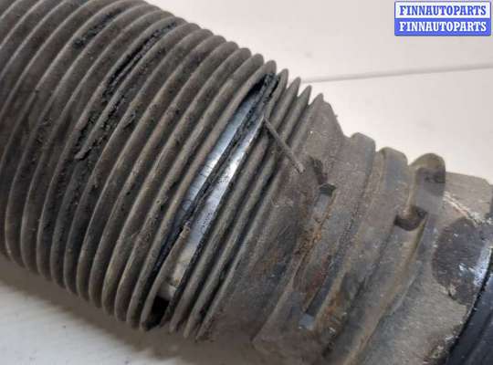 купить Амортизатор подвески на Mercedes S W220 1998-2006