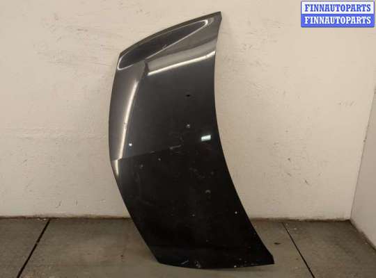 Капот RN1418118 на Renault Clio 2009-2012