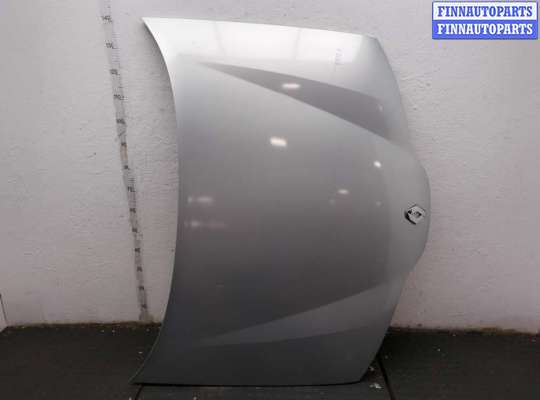 Капот RN1596693 на Renault Laguna 2 2001-2007