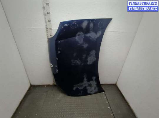Капот RN1578131 на Renault Kangoo 1998-2008