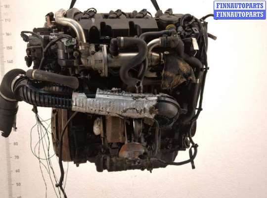 ДВС (Двигатель) на Ford Focus II