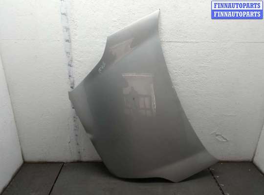 Капот на Fiat Doblo II (263) 