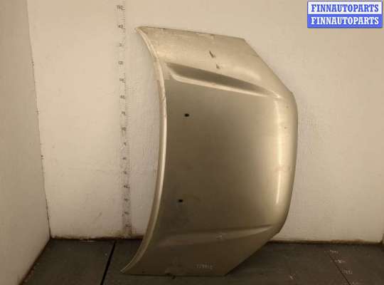 Капот TT962982 на Toyota RAV 4 2000-2005