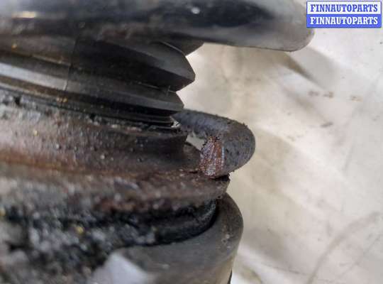 купить Амортизатор подвески на Volkswagen Golf Plus