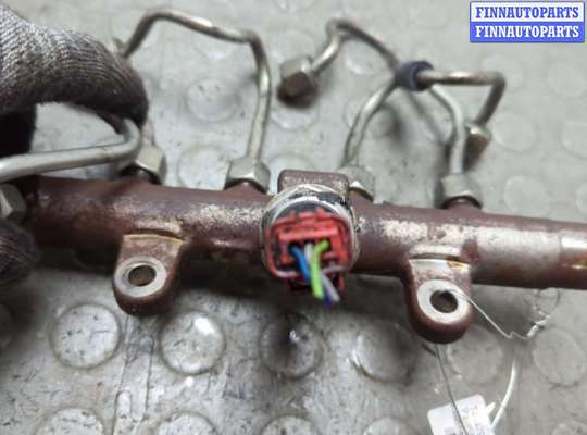 купить Рампа (рейка) топливная на Nissan Qashqai 2006-2013