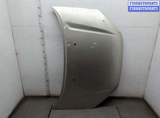 Капот TT961381 на Toyota RAV 4 2000-2005