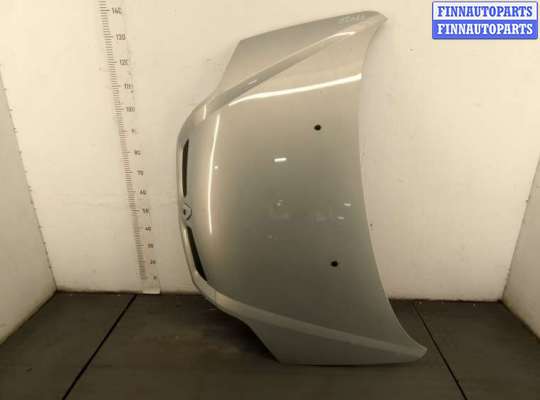 Капот RN1460490 на Renault Scenic 1996-2002