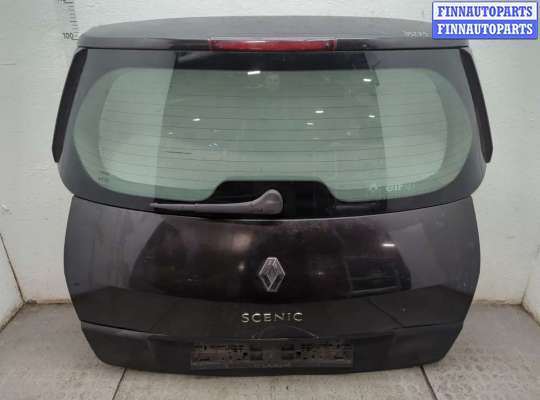 Подсветка номера RN1550803 на Renault Scenic 2003-2009