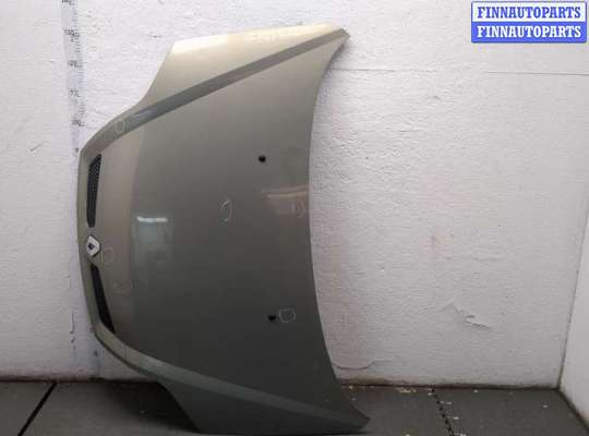 Капот RN1555082 на Renault Scenic RX4 1999-2004