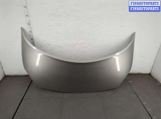 Капот RN1597338 на Renault Scenic 2003-2009