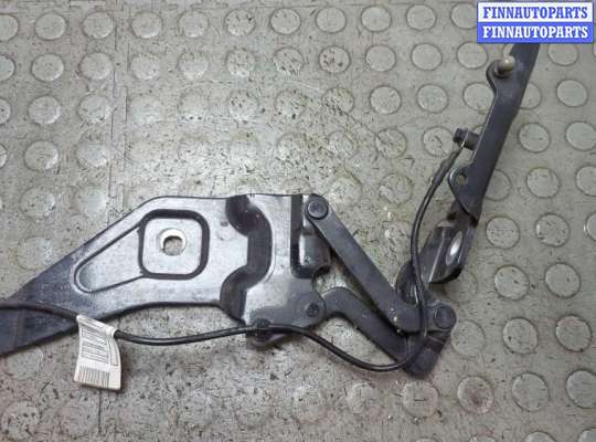 Петля капота BM3604675 на BMW X6 E71 2007-2014