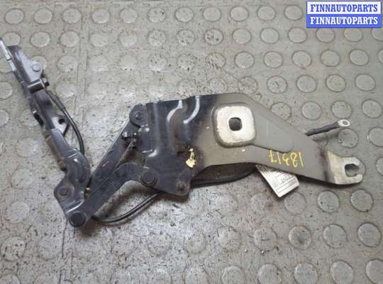 купить Петля капота на BMW X6 E71 2007-2014