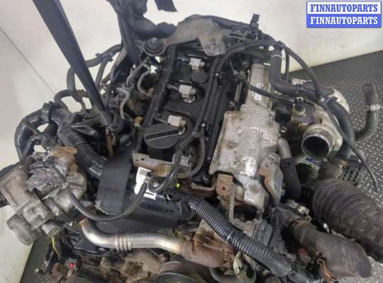 купить ТНВД на Nissan Navara 2005-2015