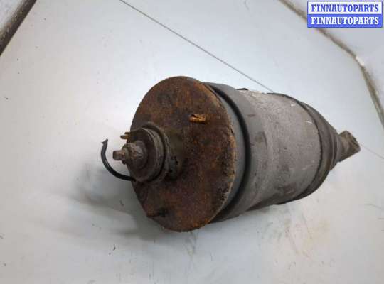 Стойка подвески амортизационная на Range Rover Sport I (L320)