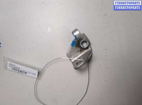 Петля двери FO2217472 на Ford Mondeo 4 2007-2015
