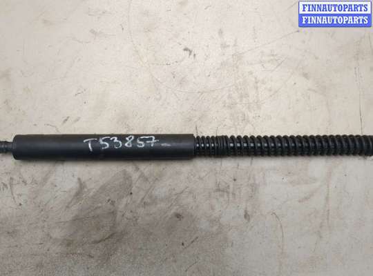 Амортизатор крышки багажника BM3595624 на BMW 7 E65 2001-2008