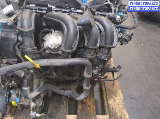 купить Насос гидроусилителя руля (ГУР) на Ford Focus 2 2005-2008