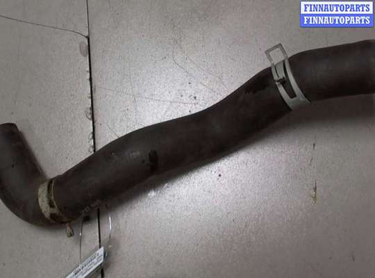 купить Патрубок охлаждения на Nissan Primera P12 2002-2007