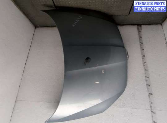 Капот SK533299 на Skoda Fabia 2007-2014