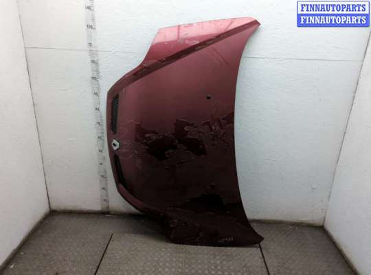 Обшивка капота RN1573126 на Renault Scenic 1996-2002