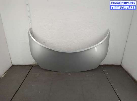 Капот RN1574006 на Renault Scenic 2003-2009