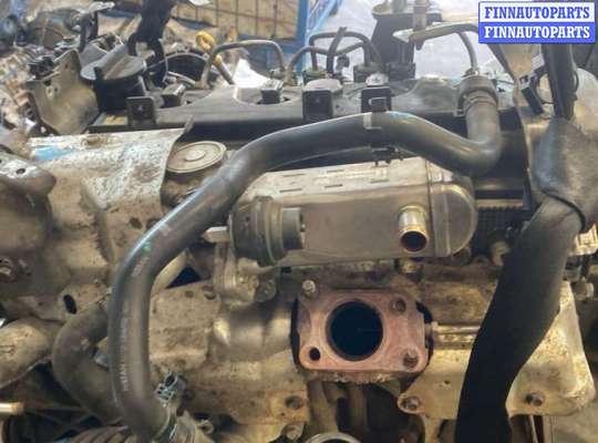 купить Головка блока (ГБЦ) на Nissan Navara 2005-2015