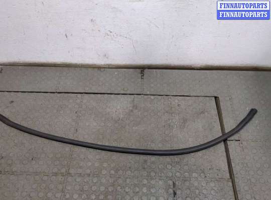 купить Уплотнитель на Ford Focus 2 2005-2008