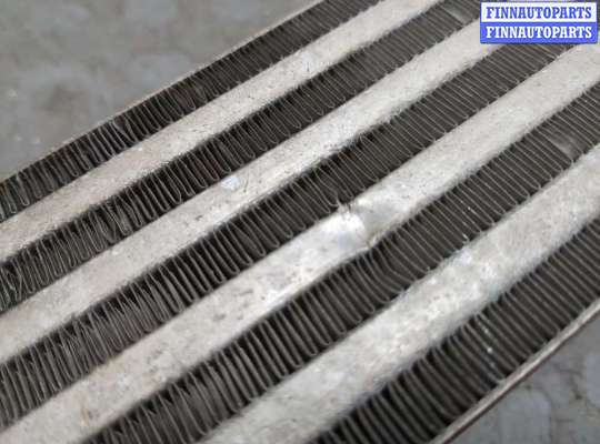 купить Радиатор масляный на Volkswagen Touareg 2002-2007