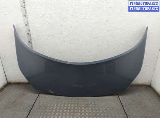 Обшивка капота RN1568238 на Renault Scenic 2003-2009