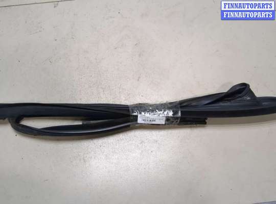 Уплотнитель двери на Ford Focus II