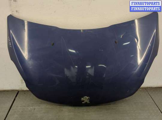 Форсунка омывателя стекла PG1143051 на Peugeot 208 2012-2019