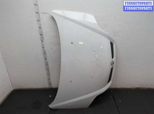 Капот RN1553106 на Renault Scenic 1996-2002