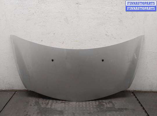 Капот RN1418110 на Renault Clio 2005-2009
