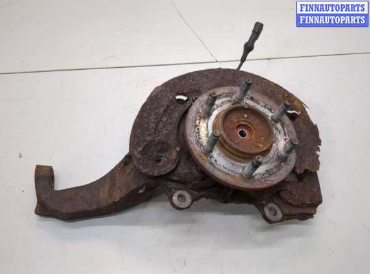 Ступица (кулак, цапфа) FO2183446 на Ford F-150 2003-2008