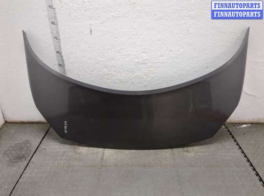 купить Капот на Renault Scenic 2003-2009