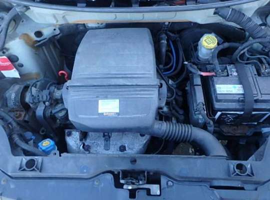 Fiat Panda (169)