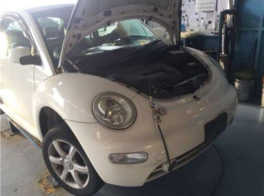 Volkswagen NEW Beetle (9C)