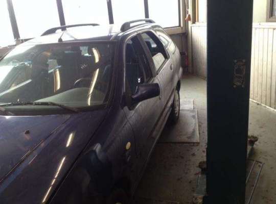 Fiat Palio (178)
