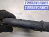 купить Блок управления двигателем на Renault Scenic 1996-2002
