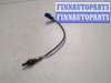 купить Лямбда зонд на Ford Focus 1 1998-2004