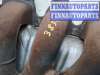 купить Коллектор выпускной на Renault Scenic 1996-2002