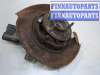 купить Ступица (кулак, цапфа) на Chevrolet Captiva 2011-2016